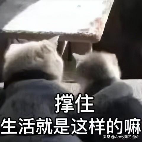 1c9ab31e8e7879b519b7d755641f020e.jpg